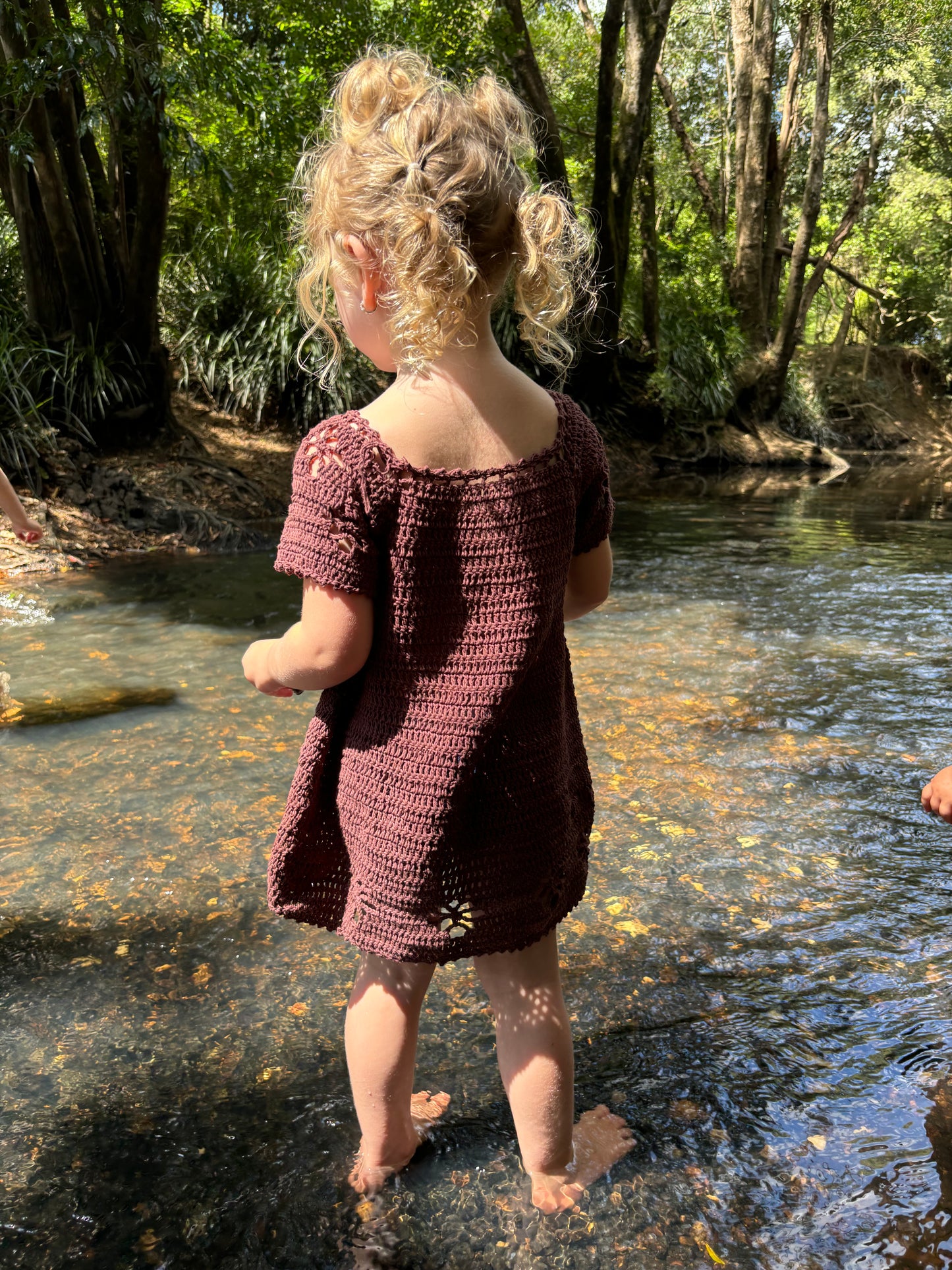 Butterfly Dress in Chocolate Brownie