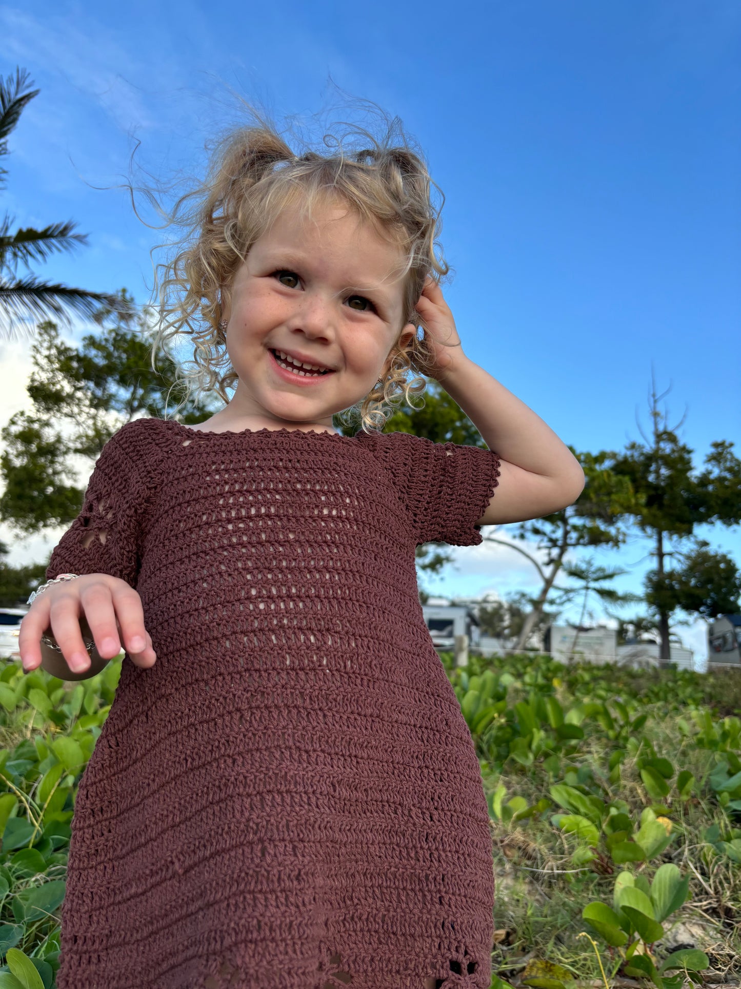 Butterfly Dress in Chocolate Brownie